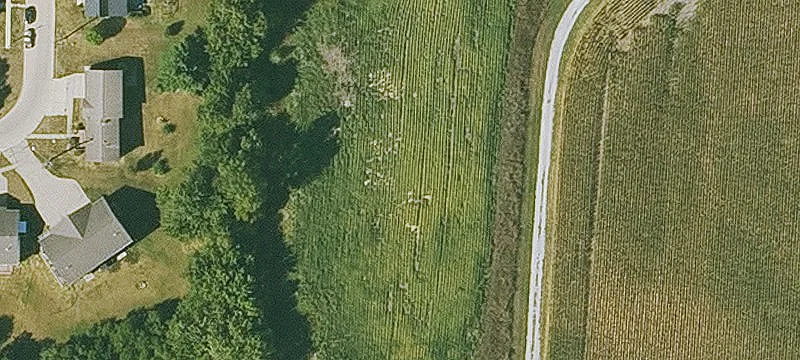 Williamsburg, IA 52361