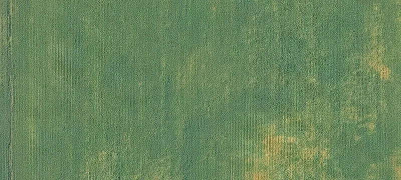 Clare, IA 50524