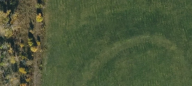  Fort