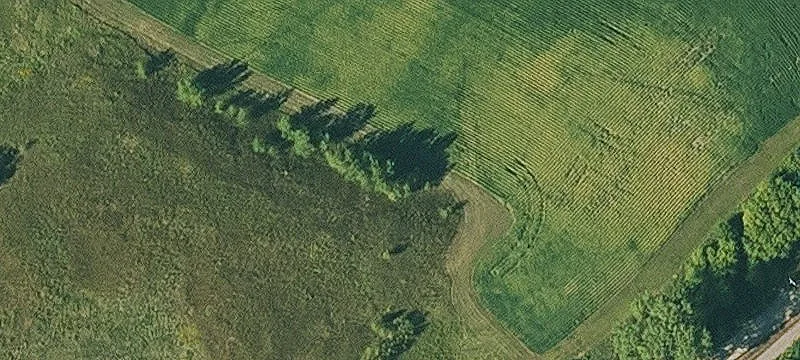 Lawler, IA 52154