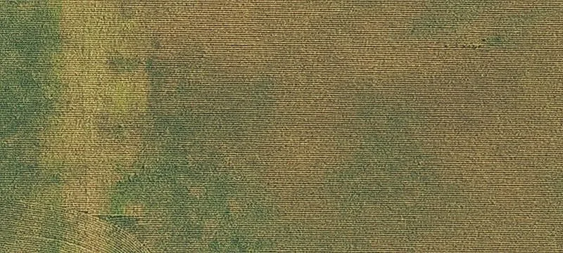 Jesup, IA 50648