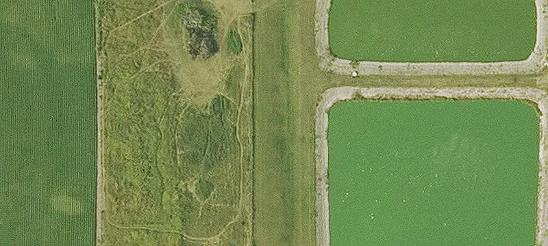 Masonville, IA 50654