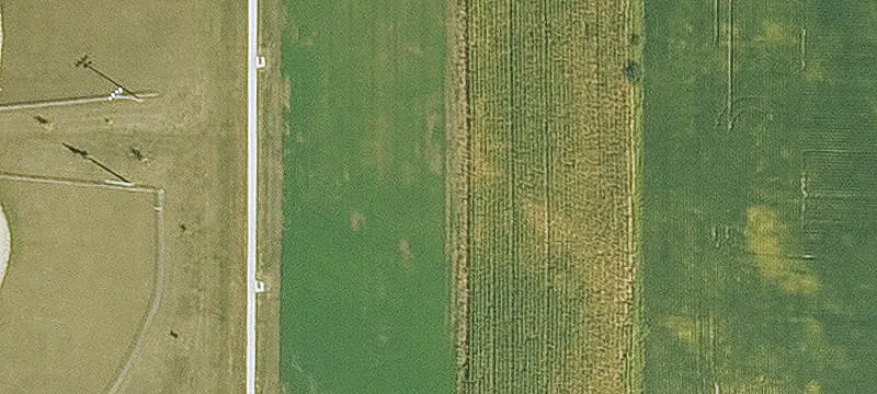 Mechanicsville, IA 52306