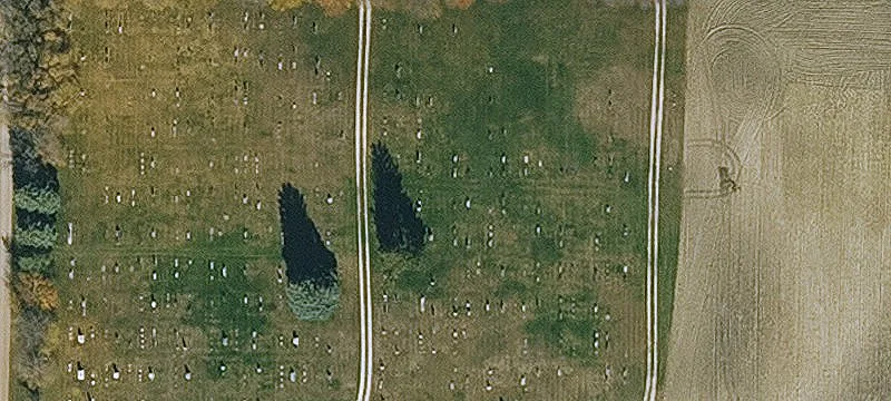 Ledyard, IA 50556