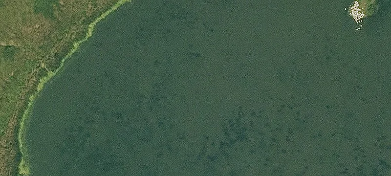 Fonda, IA 50540