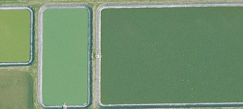Fenton, IA 50539