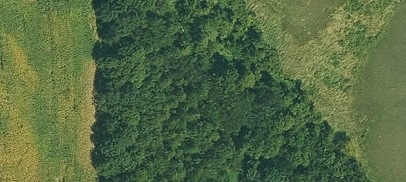 Osceola, IA 50213
