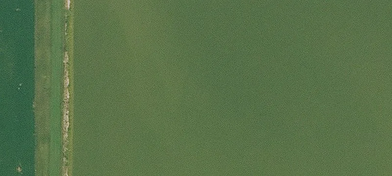 Fonda, IA 50540