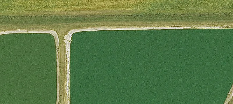 Greeley, IA 52050