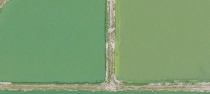 Collins, IA 50055