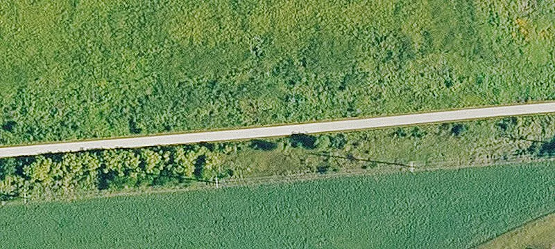 Jewell, IA 50130