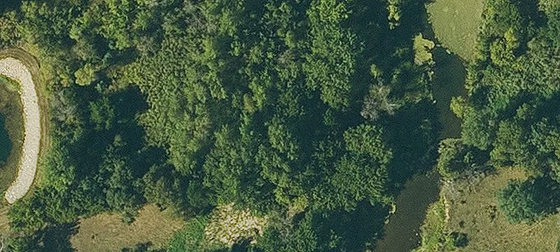 Lawler, IA 52154