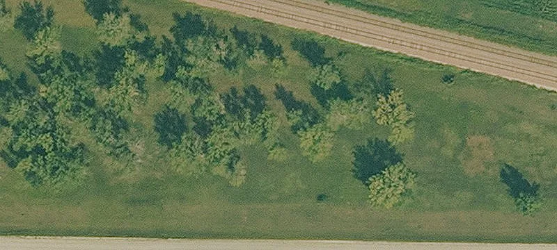 Fonda, IA 50540