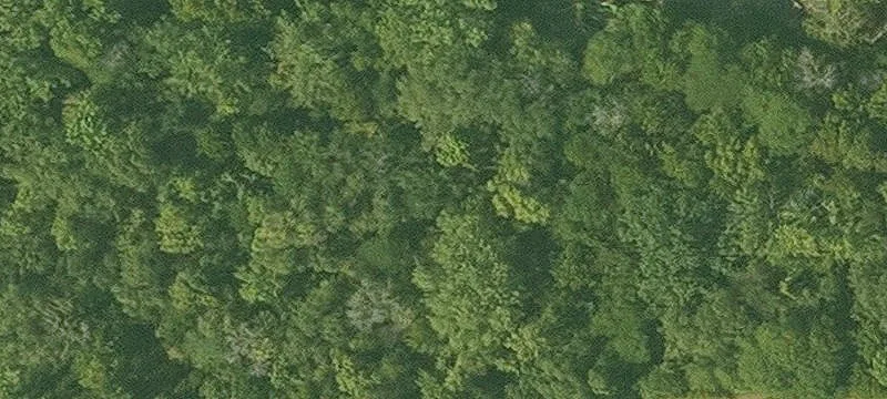 1299 Red Brg Rd