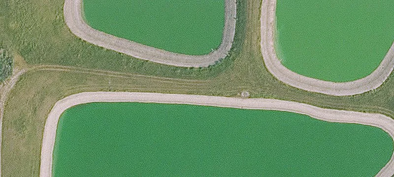 Bussey, IA 50044