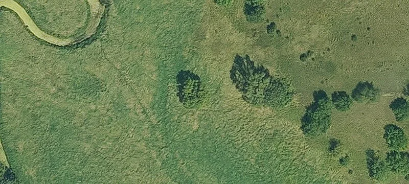 Osceola, IA 50213