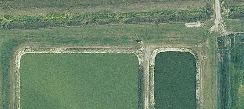 Palmer, IA 50571