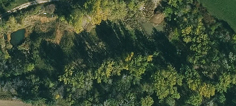 Alta Vista, IA 50603
