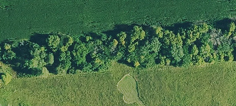 Jewell, IA 50130