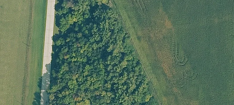 Palmer, IA 50571