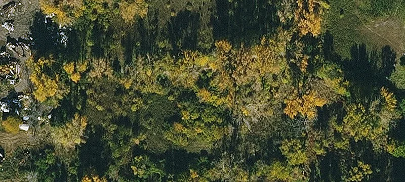 Storm Lake, IA 50588