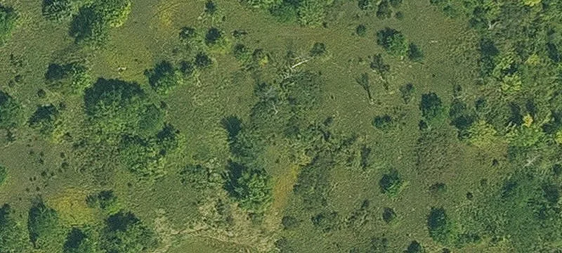 Osceola, IA 50213