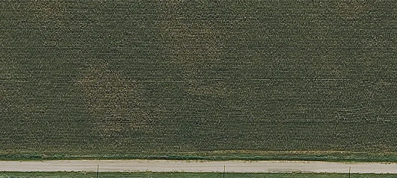 Early, IA 50535