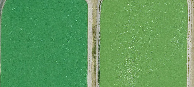 Garrison, IA 52229