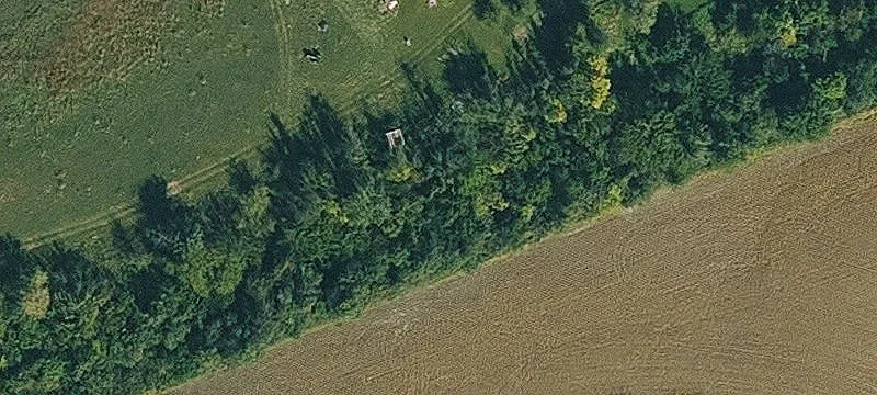 Fontanelle, IA 50846