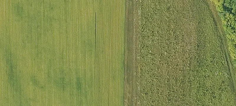 Lamont, IA 50650