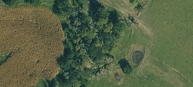 Fontanelle, IA 50846