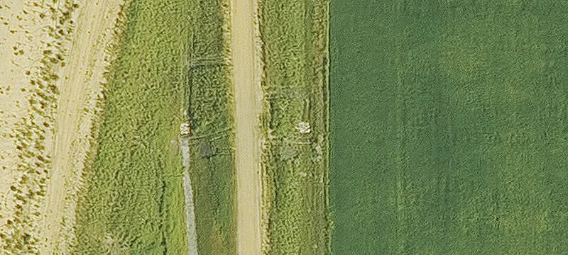 Hwy 61