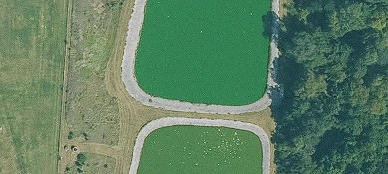 Elk Horn Dr