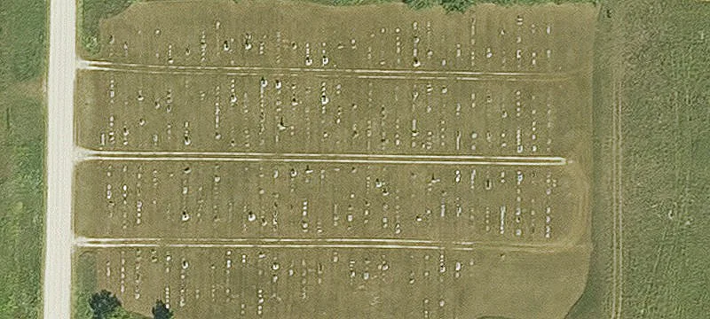 Lamont, IA 50650