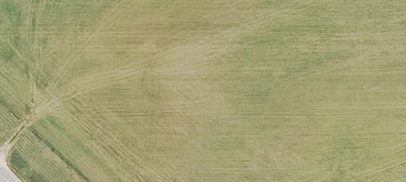 Charlotte, IA 52731