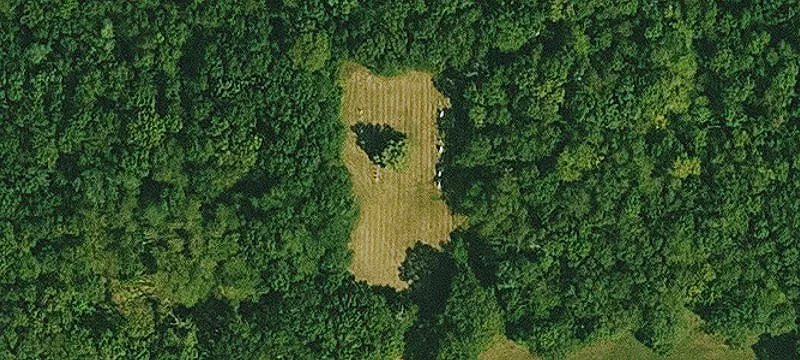 Cincinnati, IA 52549