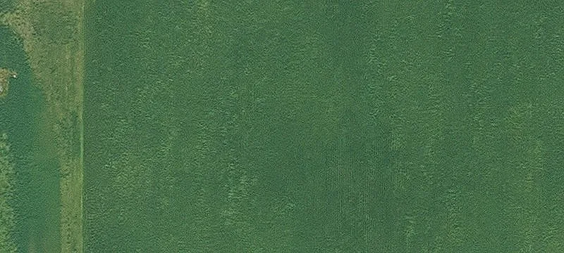 Ogden, IA 50212