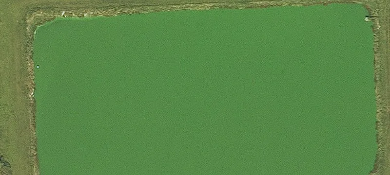 Salem, IA 52649