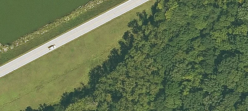 Agency Rd