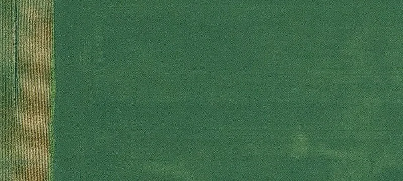 Milo, IA 50166
