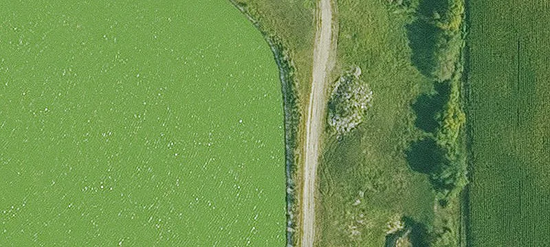 Manson, IA 50563