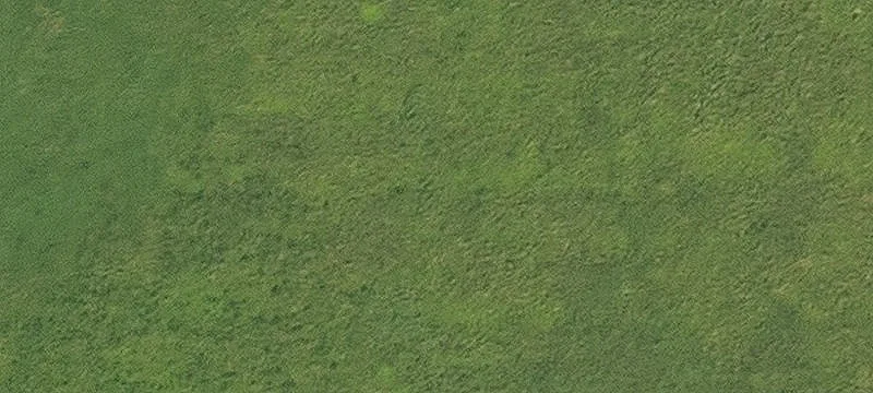 Goose Lake, IA 52750