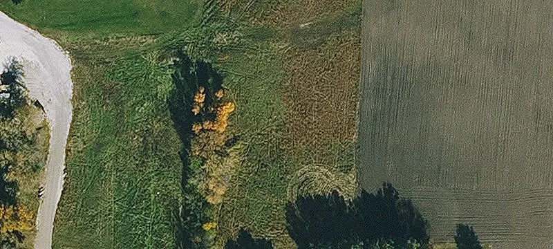 Algona, IA 50511