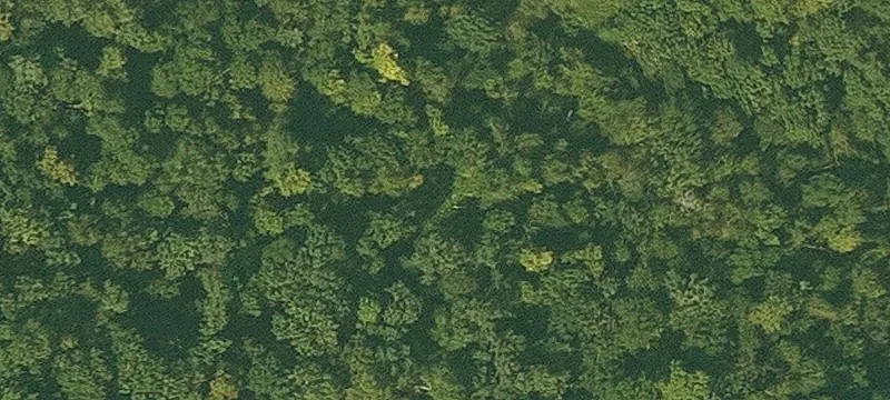 Dorchester, IA 52140