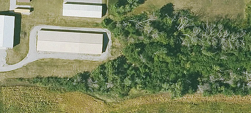 Van Horne, IA 52346