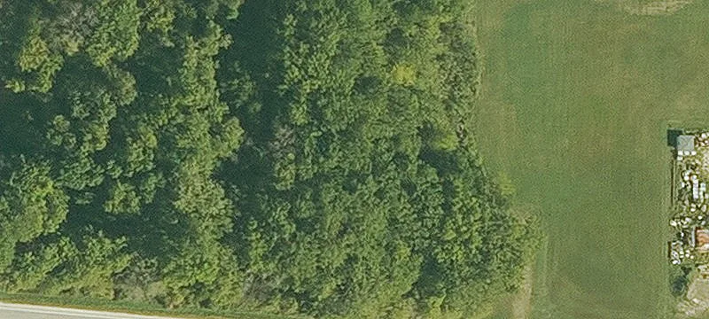 Vine Rd