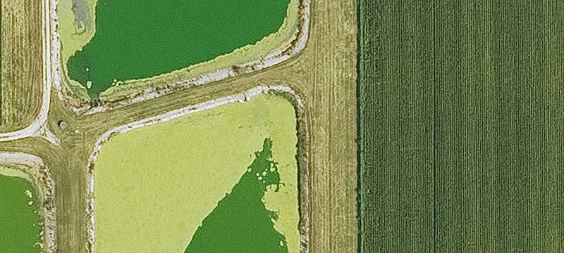 Keller Dr