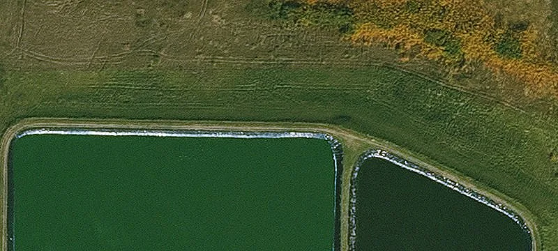 Lu Verne, IA 50560