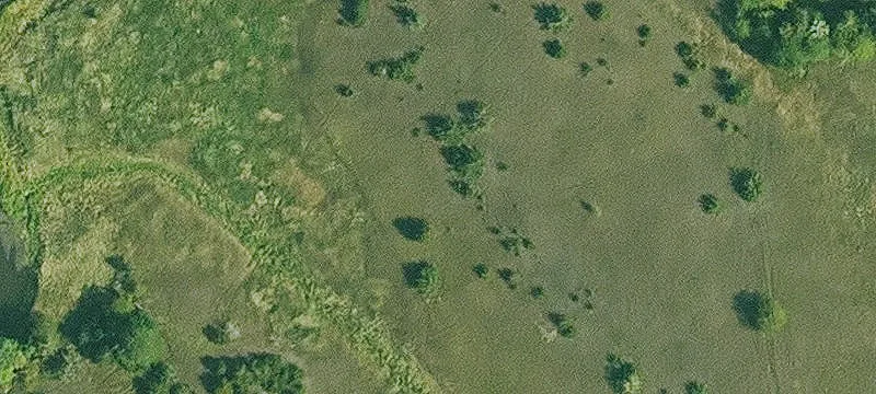 Lohrville, IA 51453
