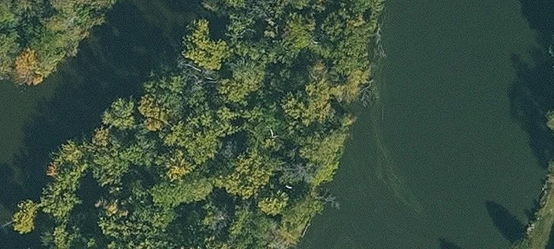Cedar Ln Rd